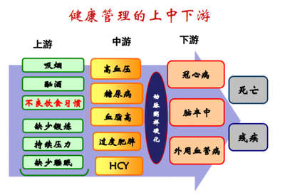 夏萌專家分享 健康管理與營養醫學經驗之談，顛覆你的思維！