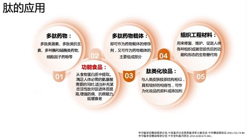肽在體重管理中的實(shí)踐與探討——第一屆體重管理學(xué)術(shù)會(huì)議精彩回顧